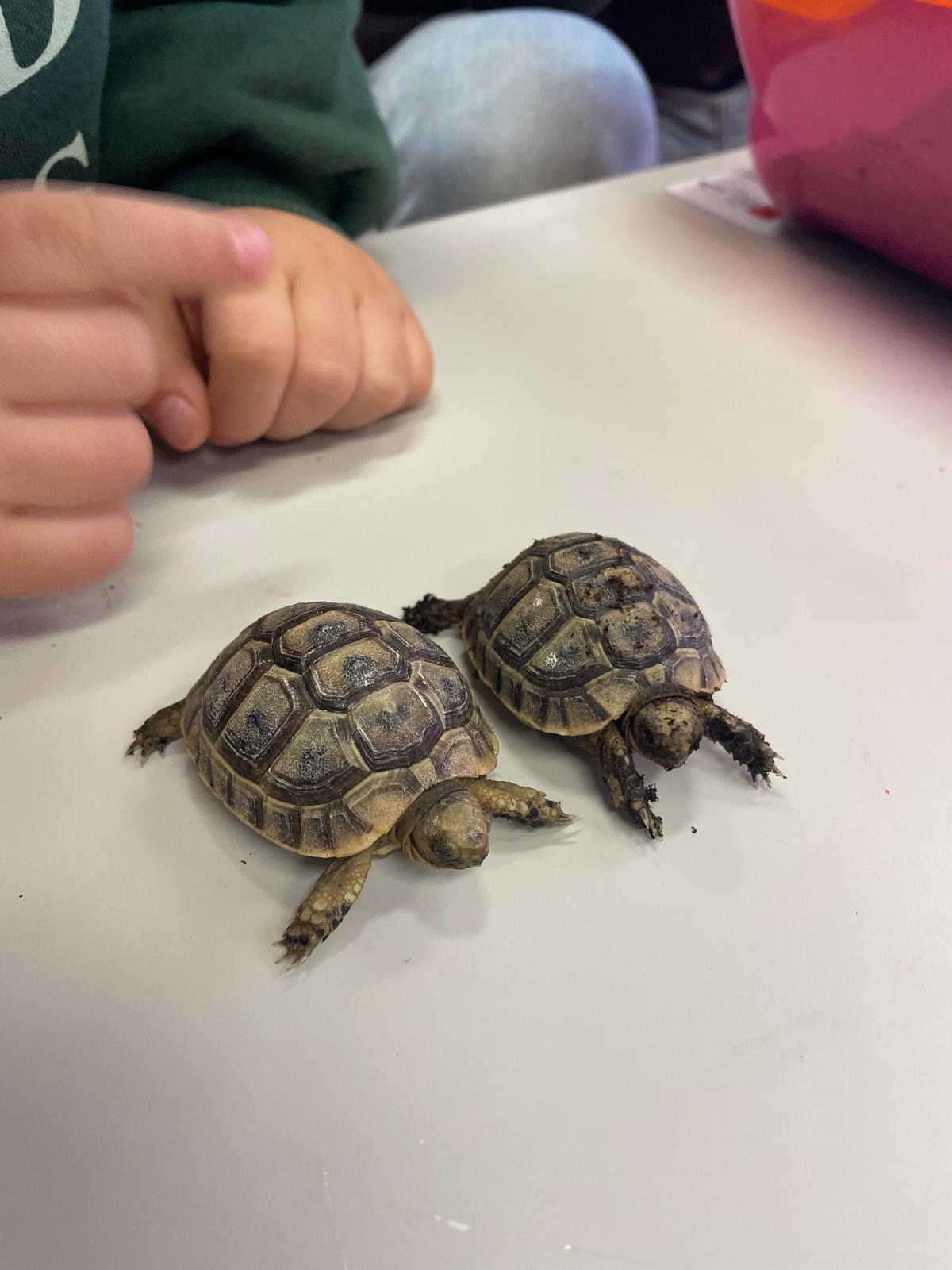 PHOTO-2026-01-28-19-43-19 6