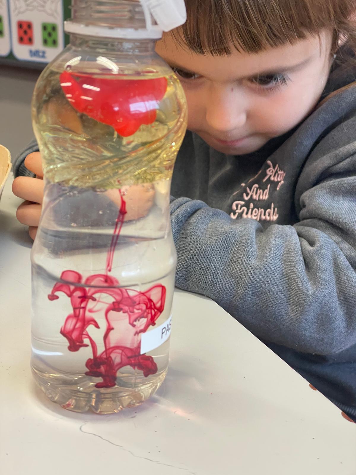 PHOTO-2026-01-28-19-43-20 5