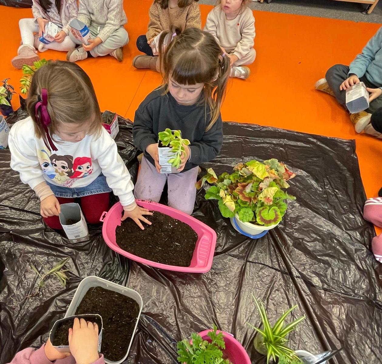 PHOTO-2026-02-06-21-33-03 3