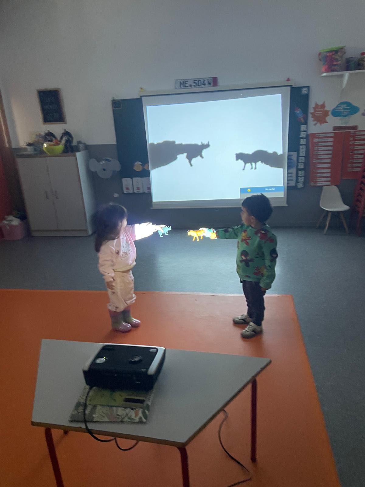 PHOTO-2026-02-06-21-33-03