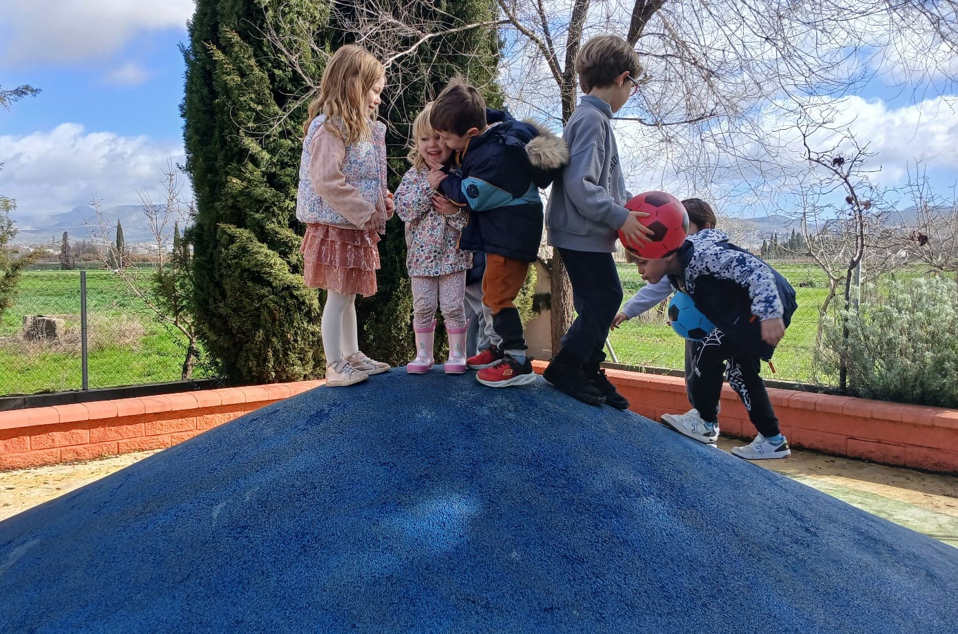 WhatsApp Image 2026-02-12 at 13.11.26