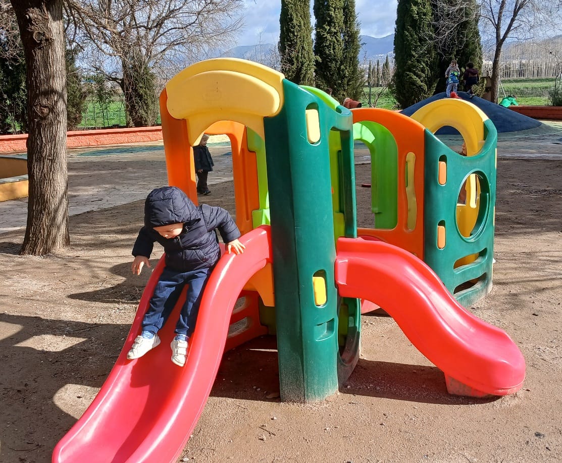 WhatsApp Image 2026-02-12 at 13.11.27 (2)