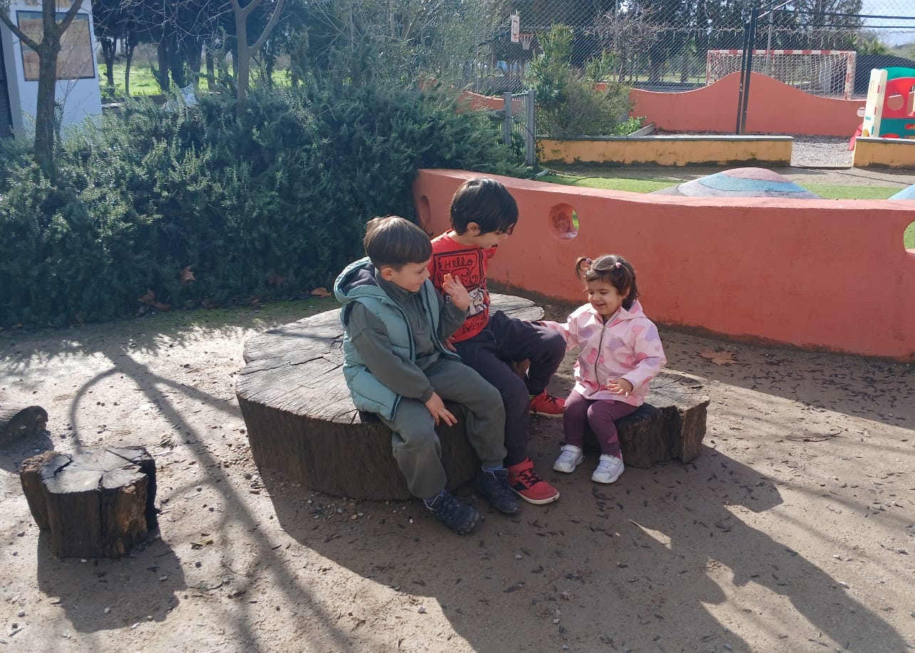 WhatsApp Image 2026-02-12 at 13.11.27 (3)