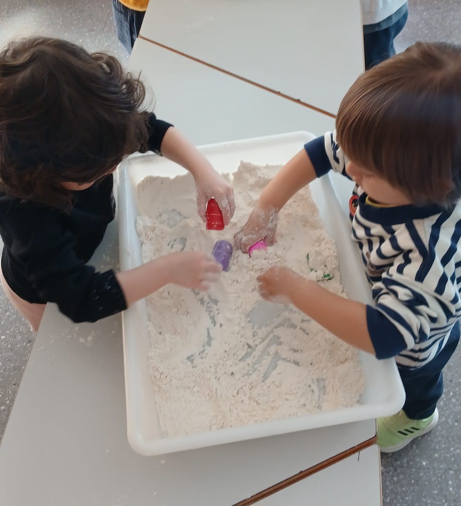 WhatsApp Image 2026-02-26 at 13.35.27 (2)