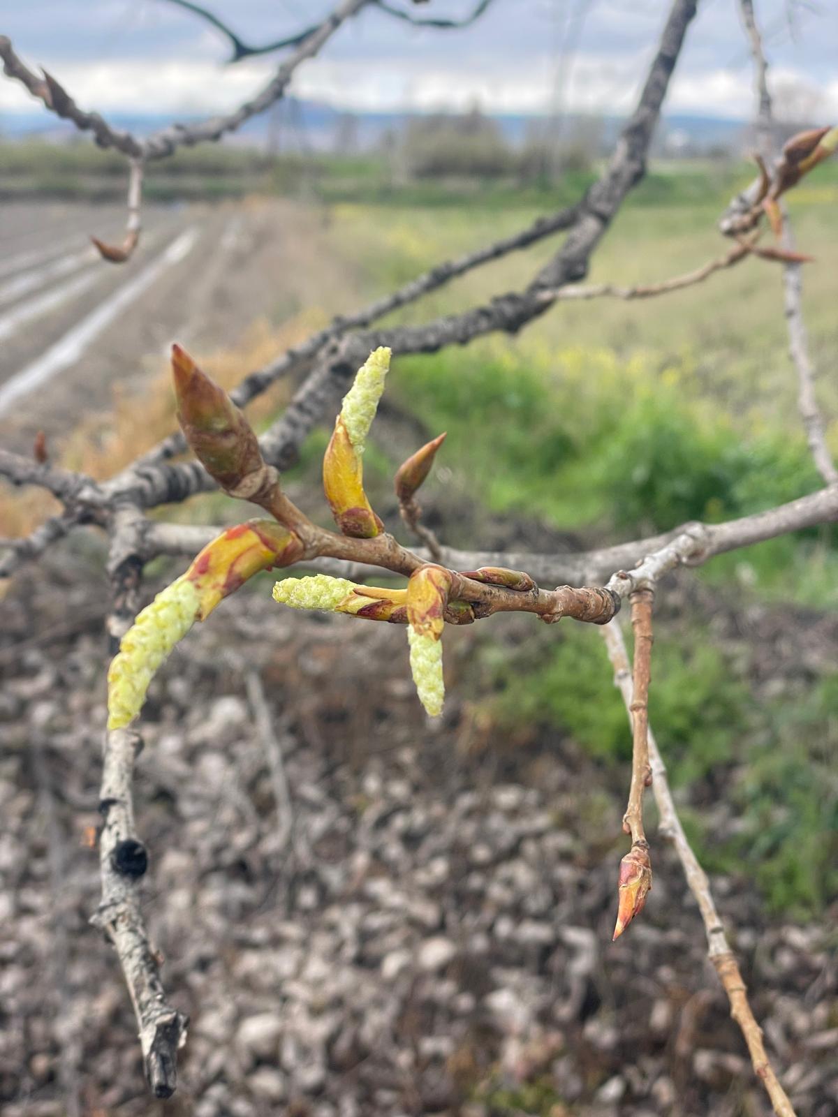 PHOTO-2026-03-12-21-58-15 5