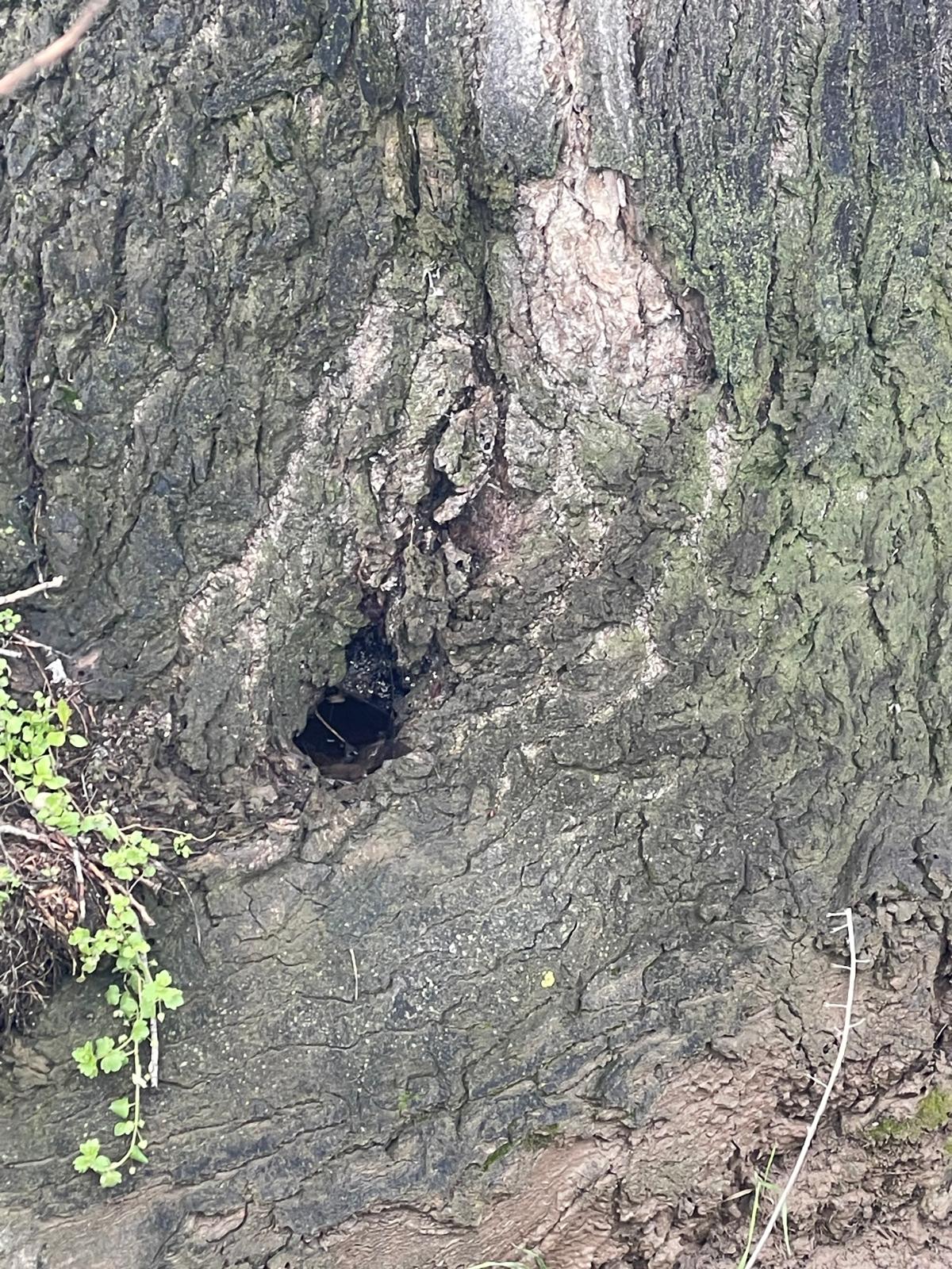 PHOTO-2026-03-12-21-58-15 6