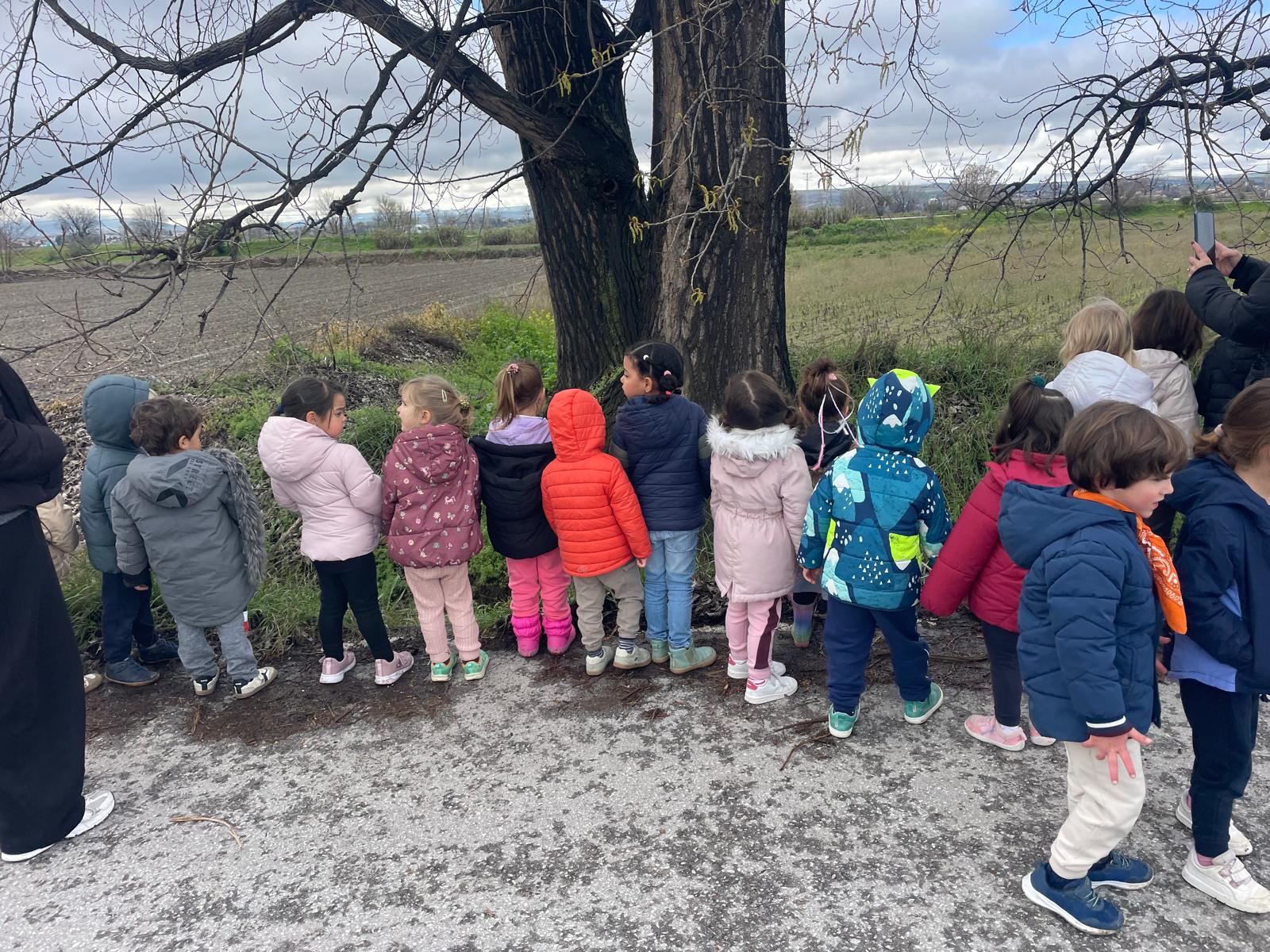 PHOTO-2026-03-12-21-58-15 8