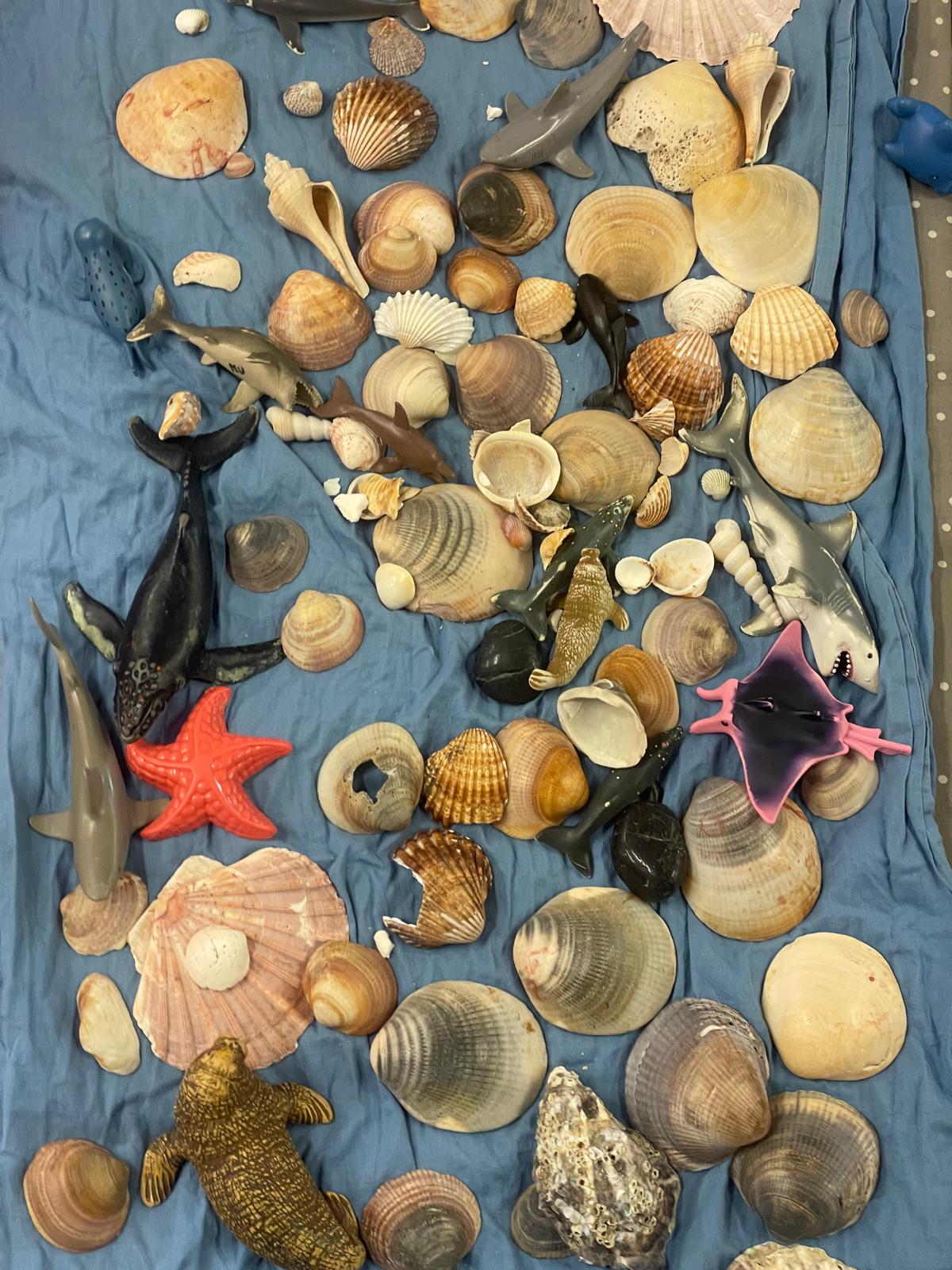 PHOTO-2026-03-12-21-58-15