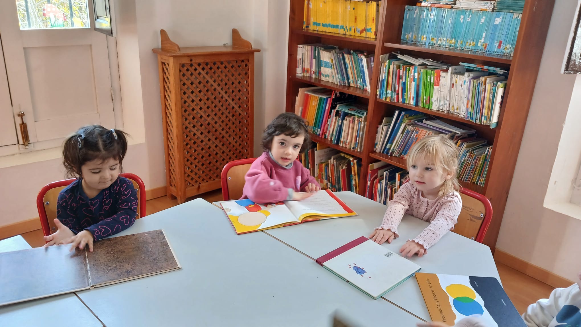 WhatsApp Image 2026-03-16 at 13.55.56 (1)