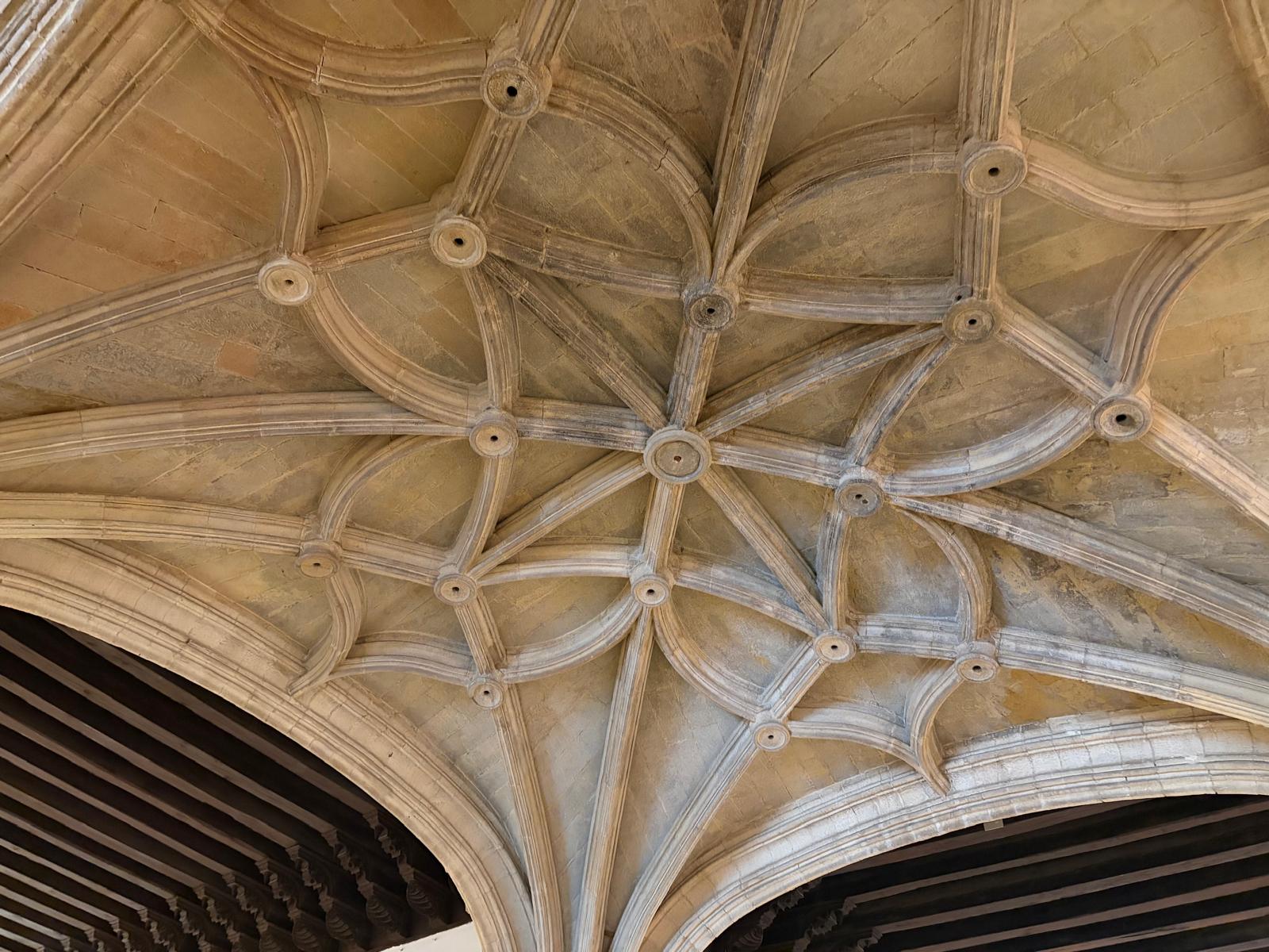 PHOTO-2026-04-07-19-39-25 15