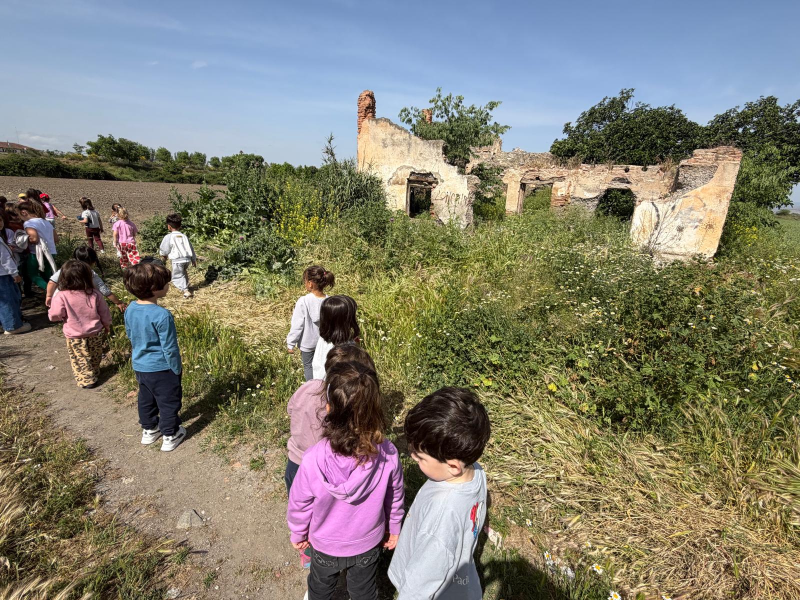 PHOTO-2026-04-28-19-23-43 2