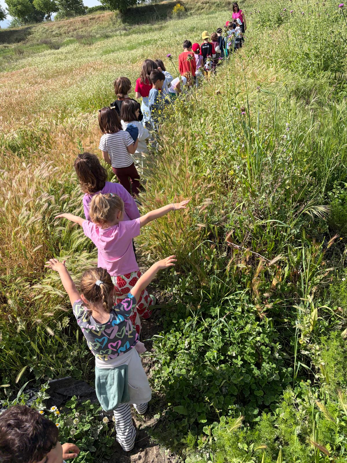 PHOTO-2026-04-28-19-23-43 4