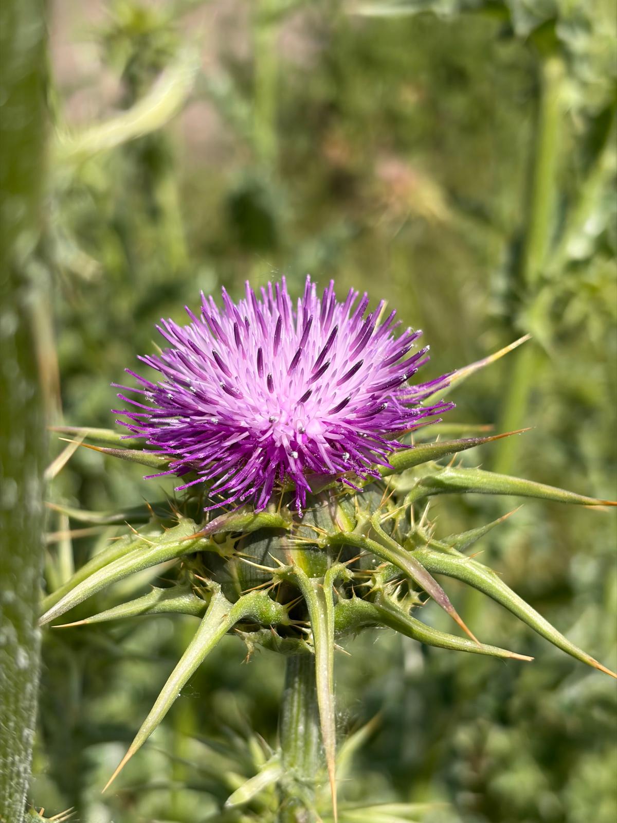 PHOTO-2026-04-28-19-23-43 5