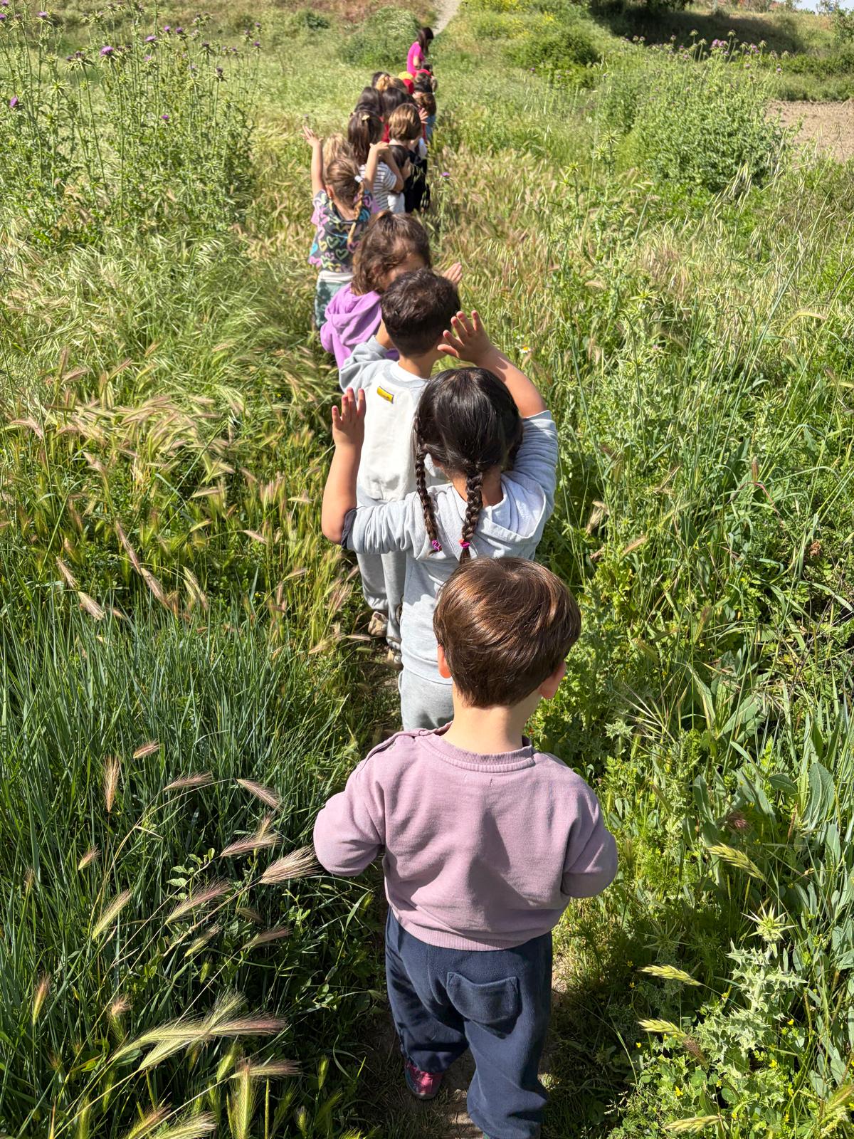 PHOTO-2026-04-28-19-23-43 6