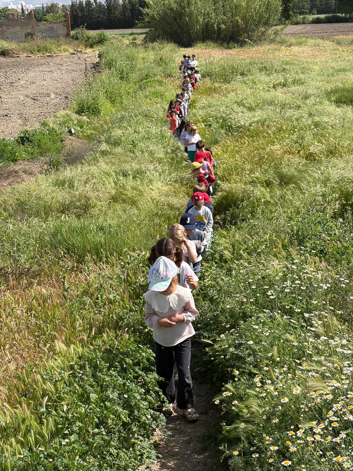 PHOTO-2026-04-28-19-23-43 8