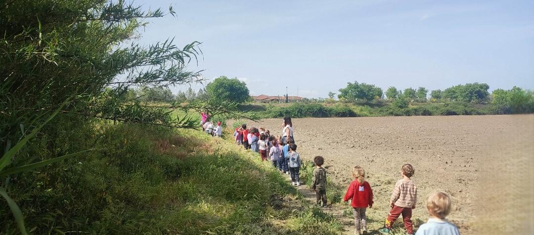 PHOTO-2026-04-30-20-01-13 8