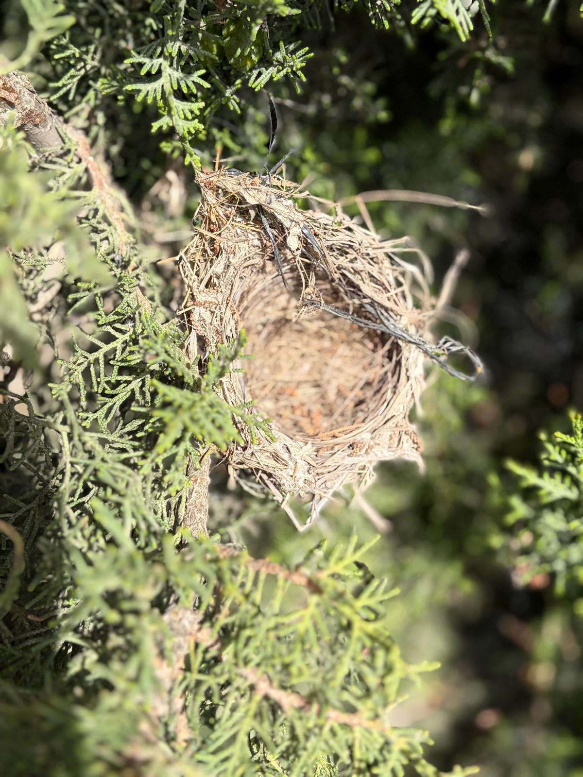 PHOTO-2026-04-30-20-02-53 2