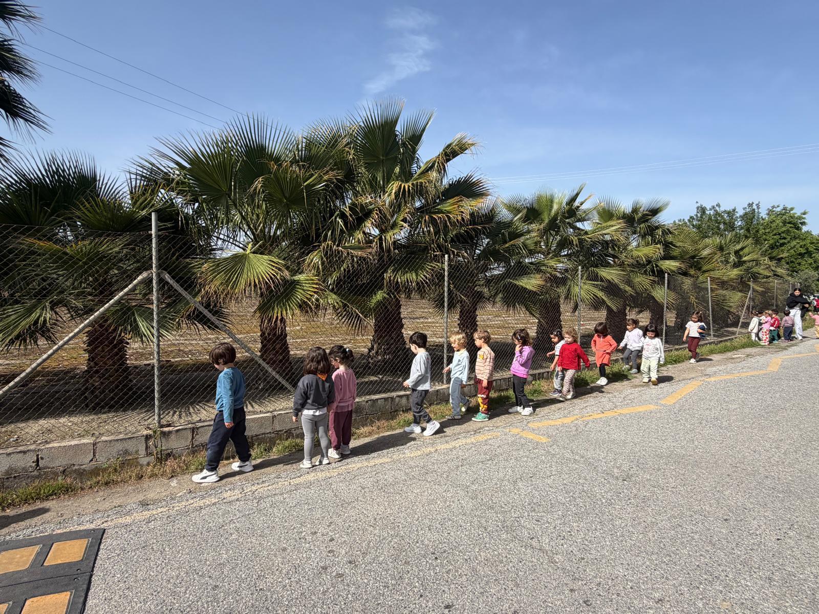 PHOTO-2026-04-30-20-02-53 3