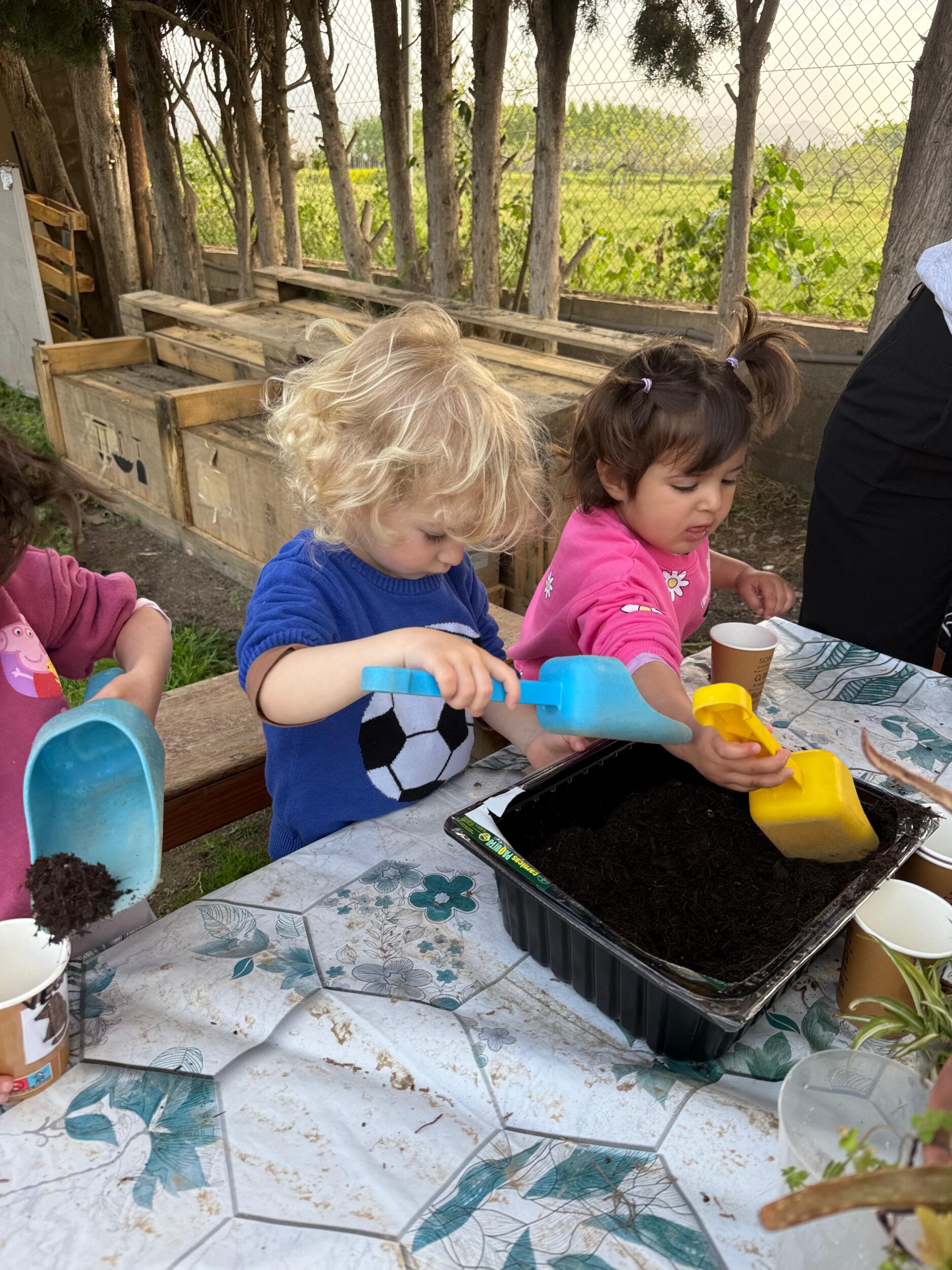 WhatsApp Image 2026-04-13 at 13.34.29