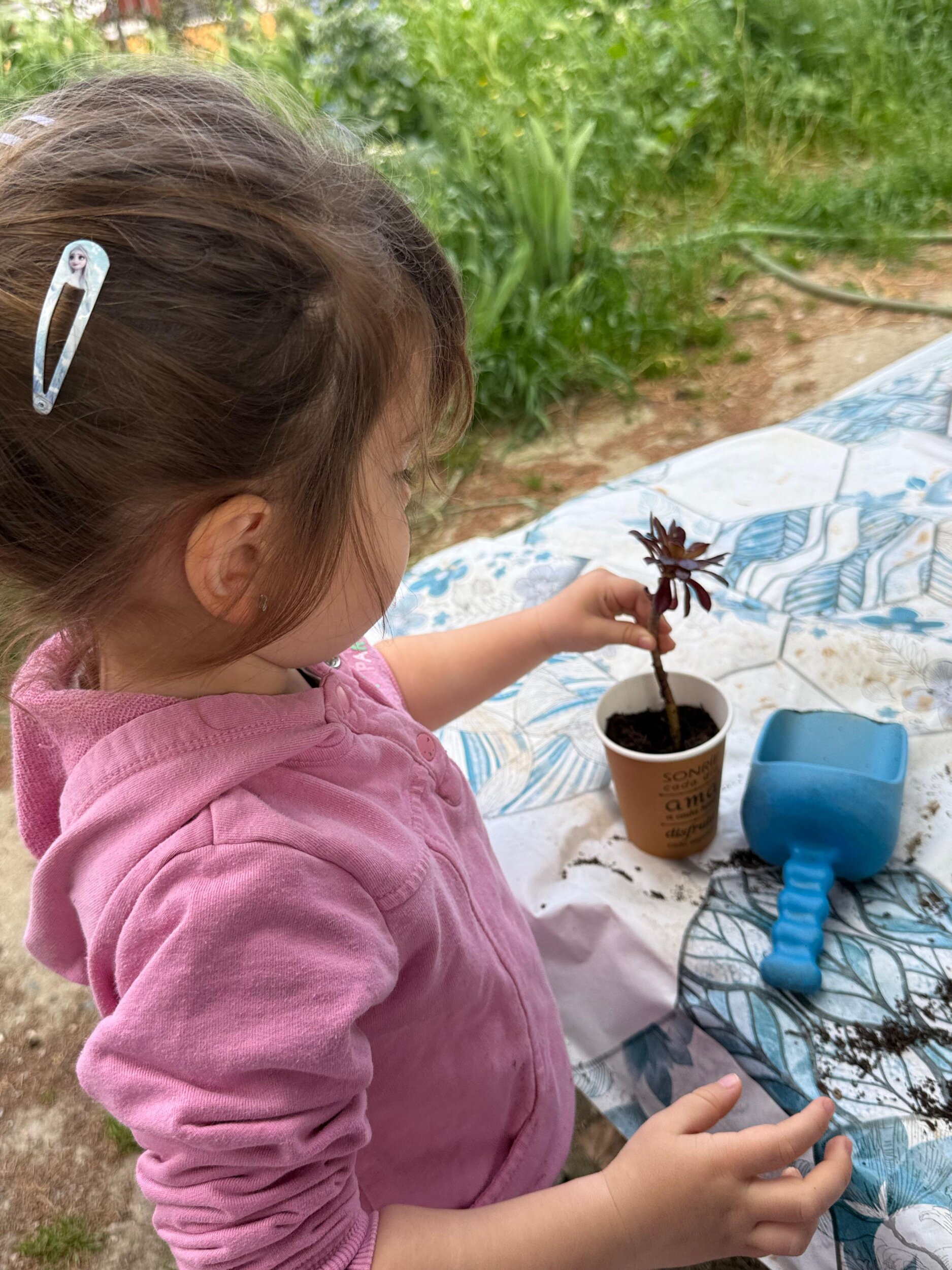 WhatsApp Image 2026-04-13 at 13.34.31