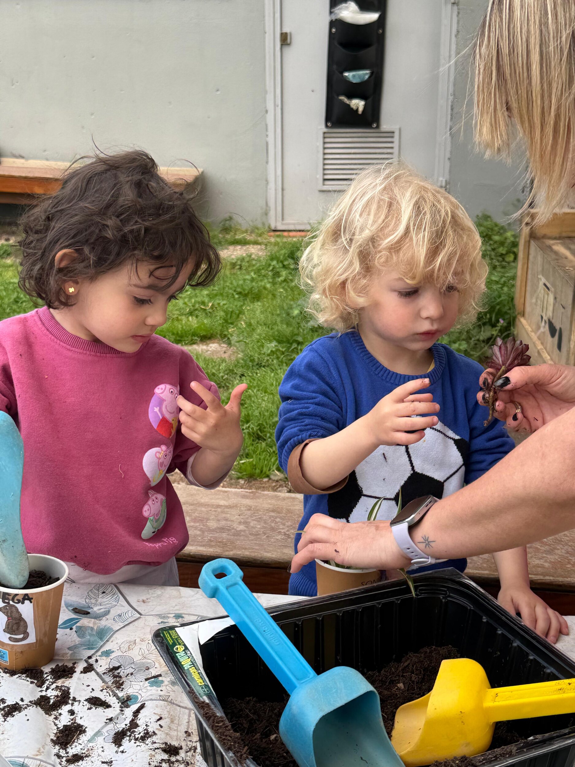 WhatsApp Image 2026-04-13 at 13.34.32 (1)