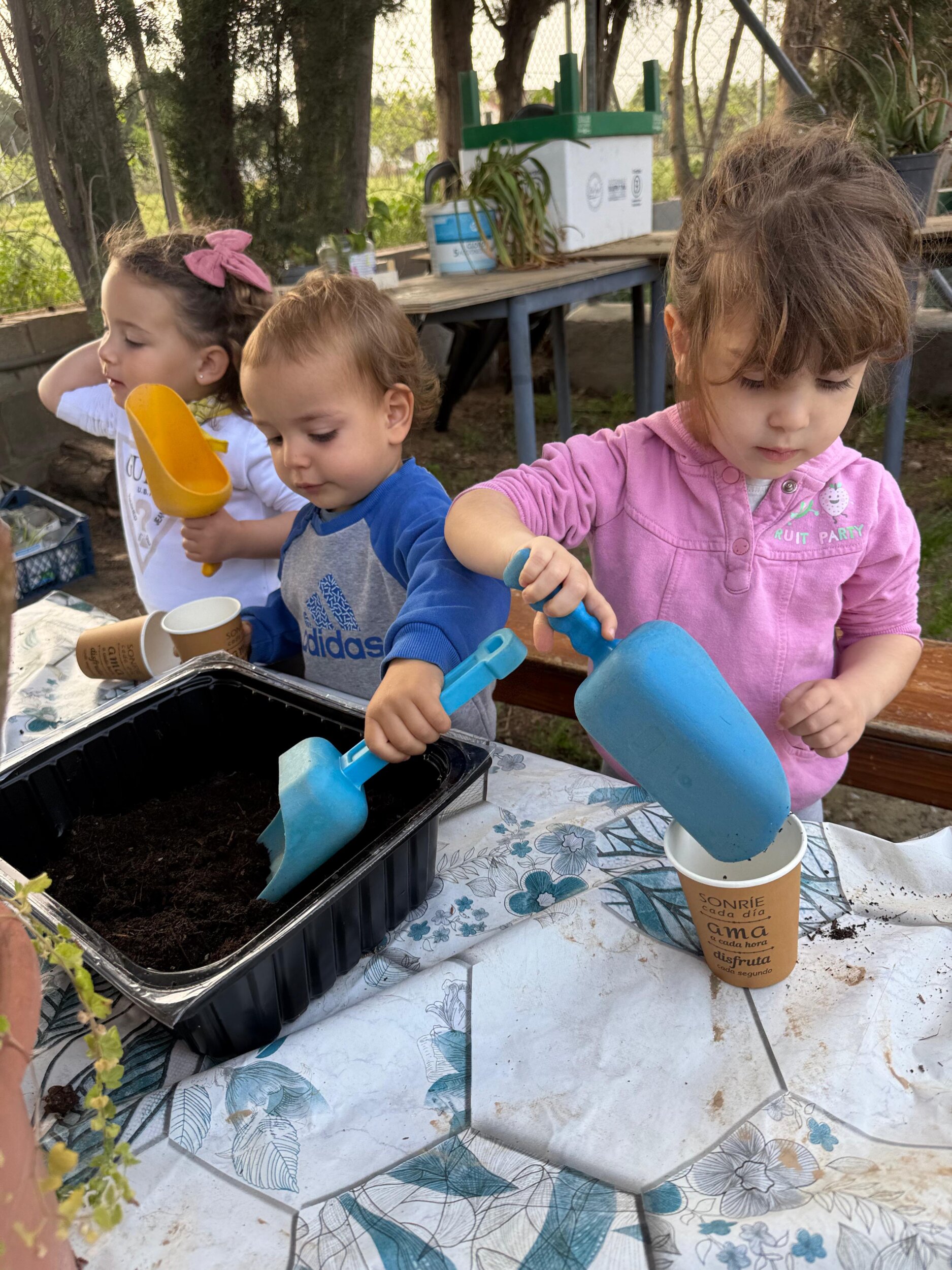 WhatsApp Image 2026-04-13 at 13.34.32