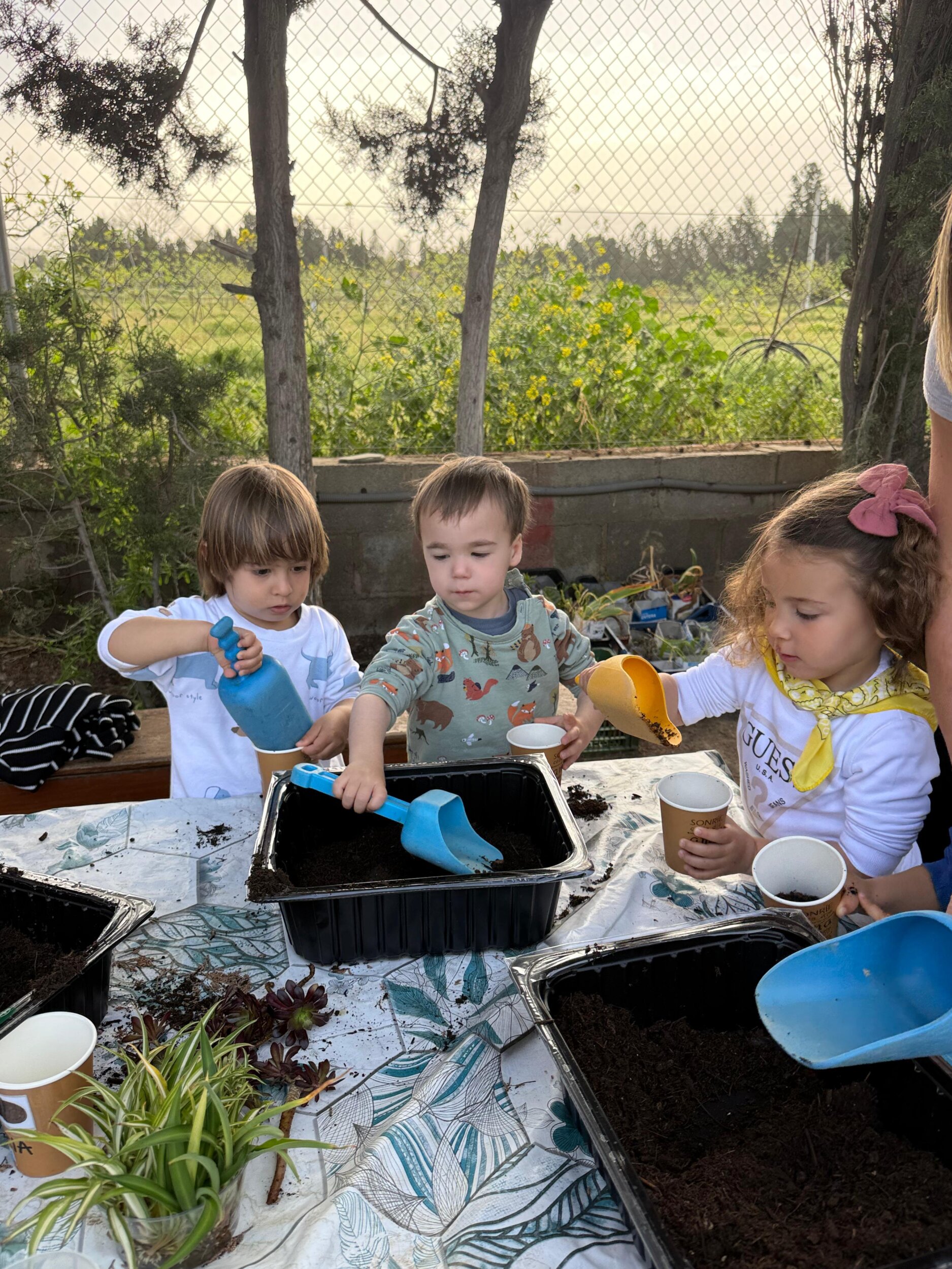 WhatsApp Image 2026-04-13 at 13.34.33 (1)