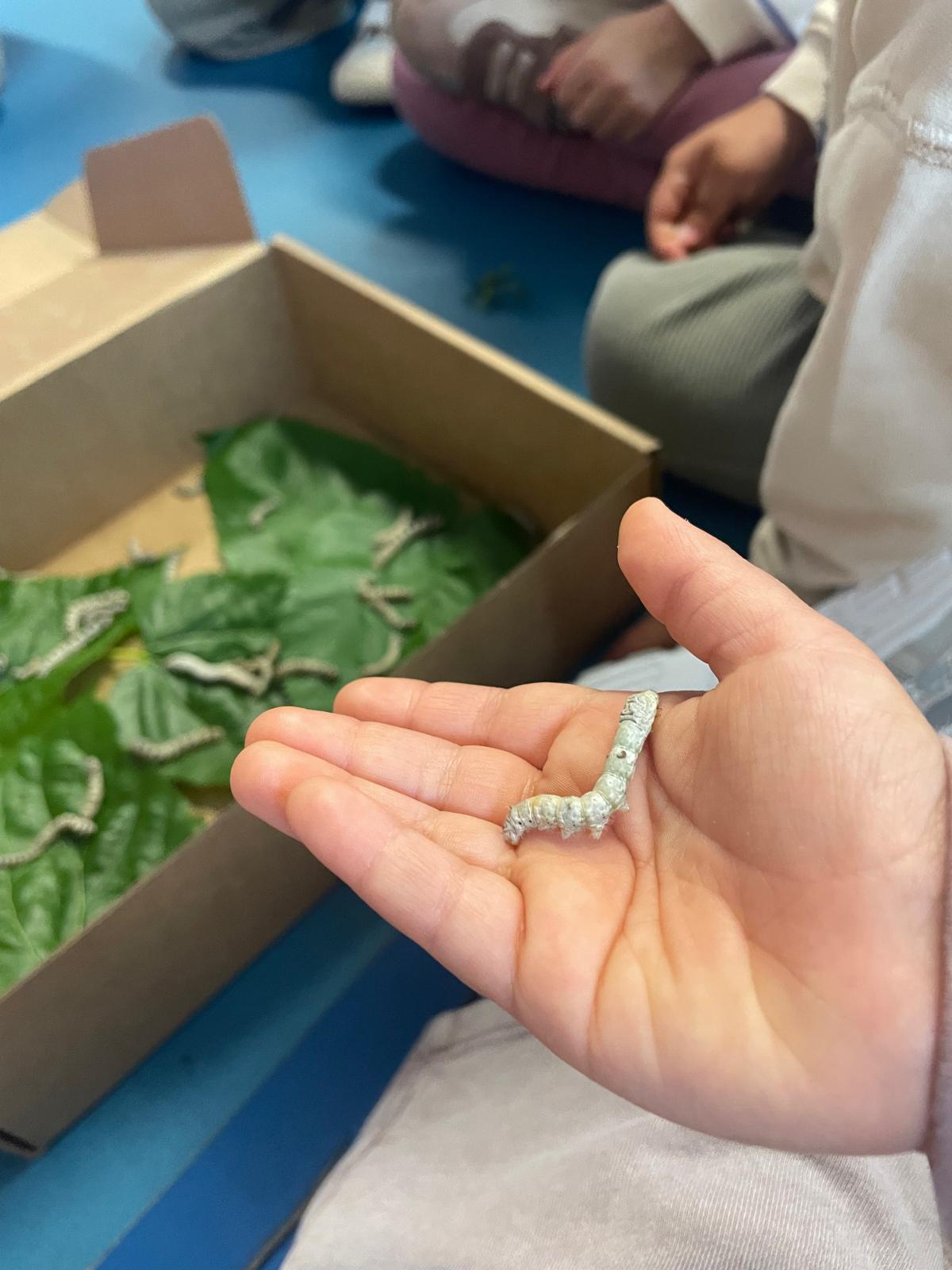 WhatsApp Image 2026-04-24 at 09.20.55 (3)