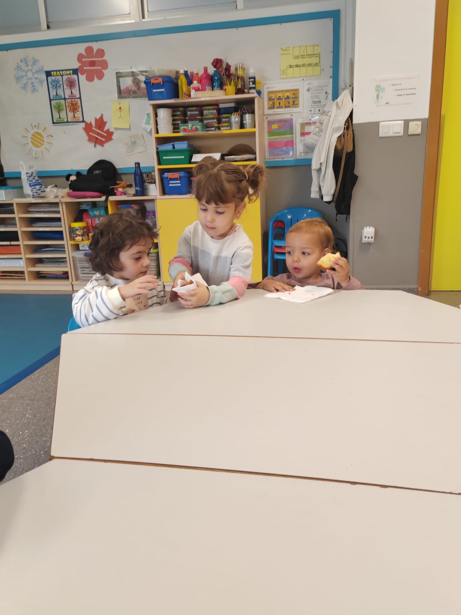 WhatsApp Image 2026-04-24 at 13.38.00 (13)