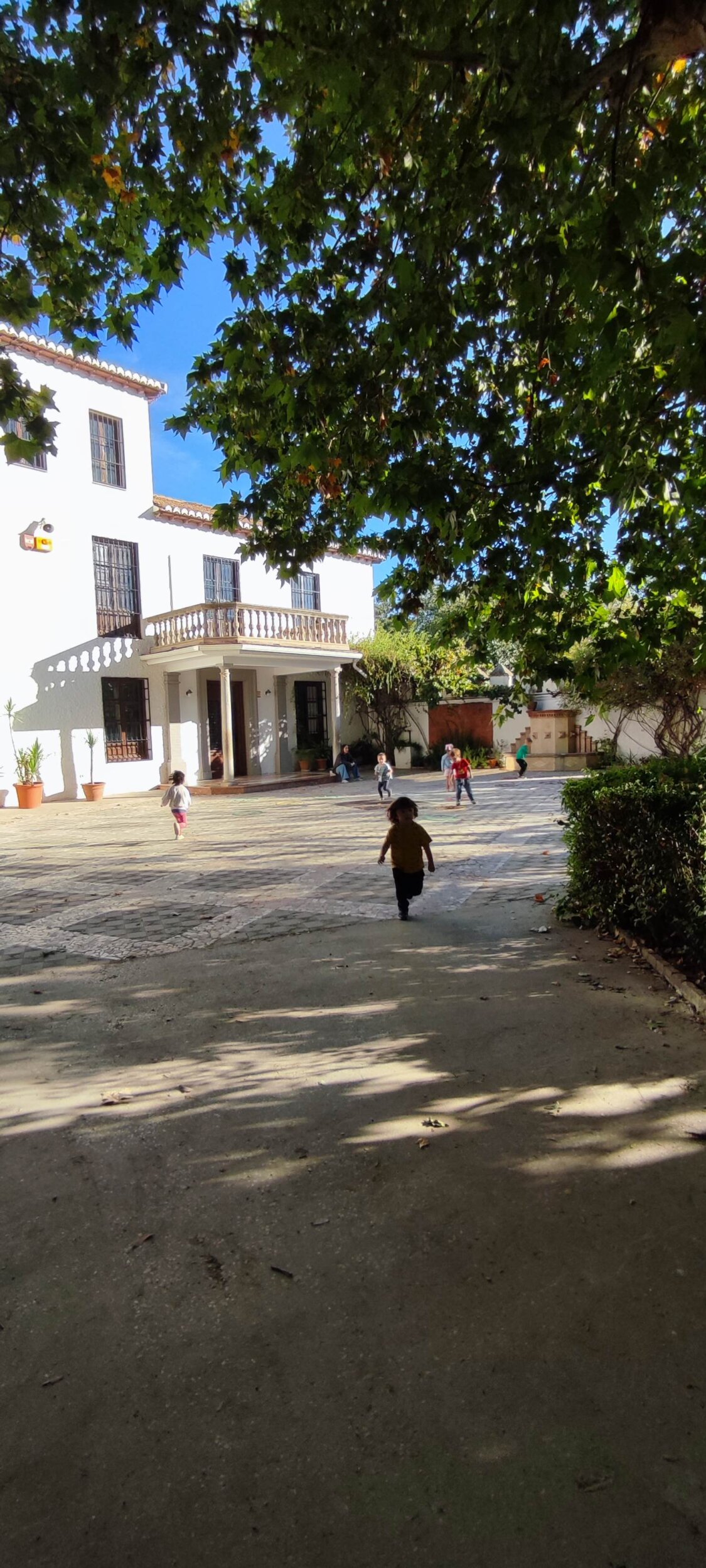 IMG_20261015_100344